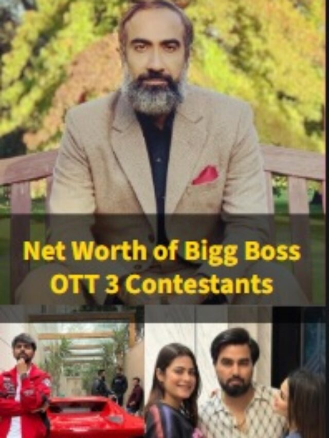 Bigg Boss 3 Contestants’ Net Worth