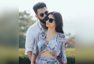 Mouni Roy Suraj Nambiar Divorce