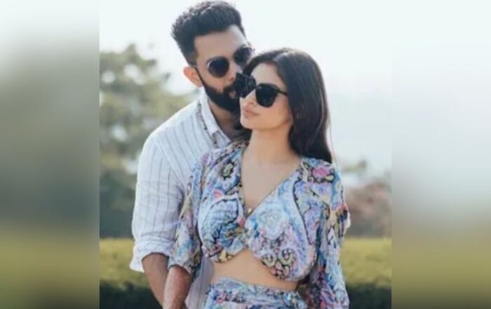 Mouni Roy Suraj Nambiar Divorce