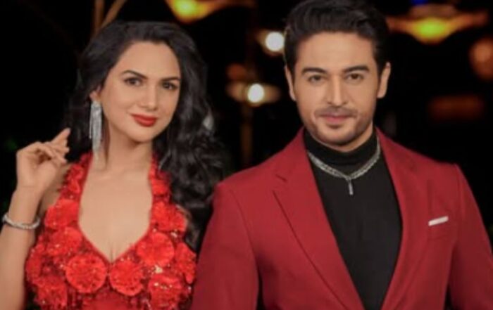 Gaurav Khanna Akanksha Chamola Divorce